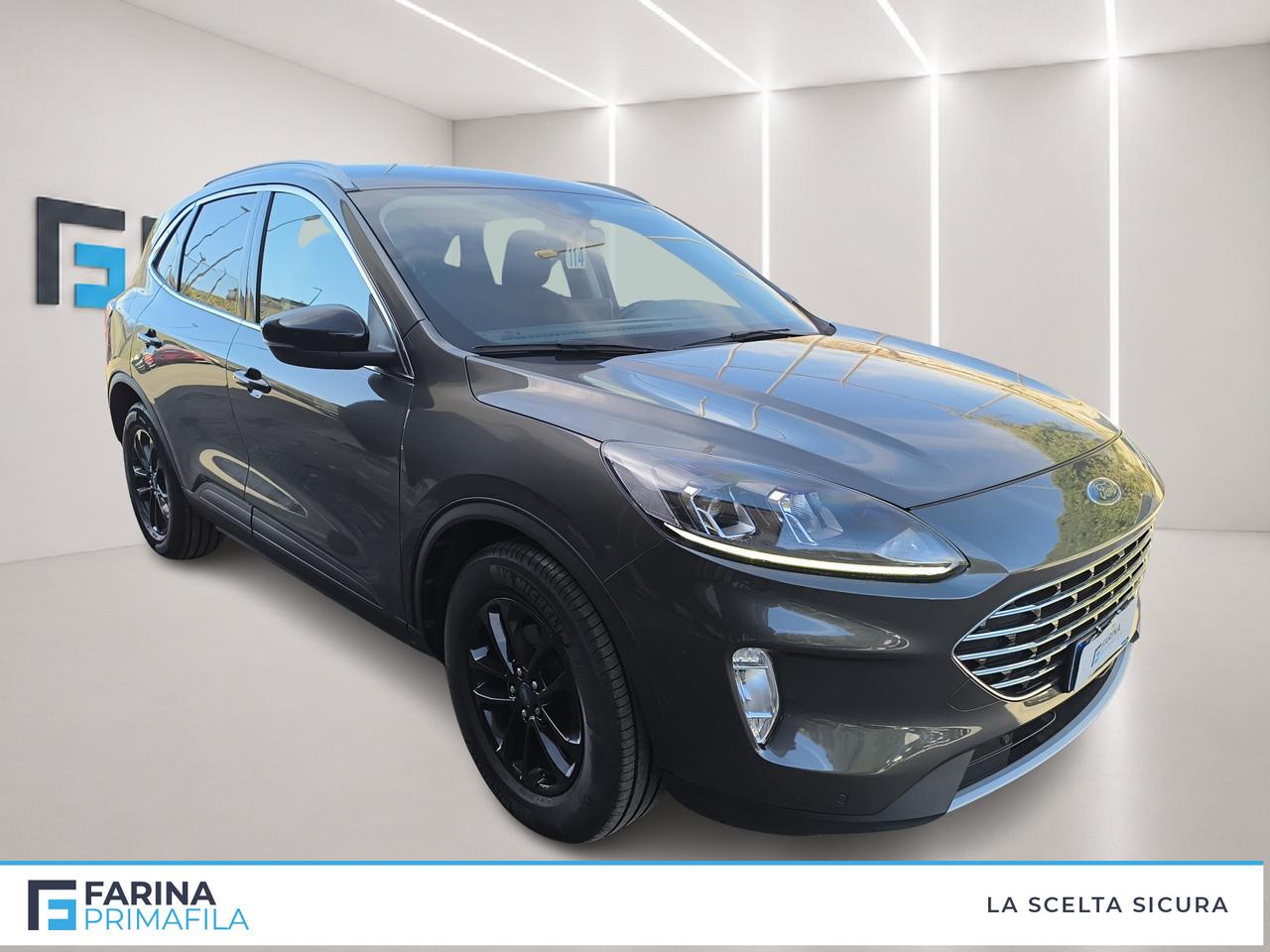 FORD Kuga III 2020 - Kuga 1.5 ecoblue Titanium Business 2wd 120cv