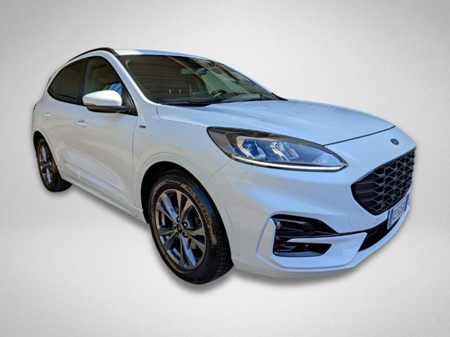 FORD Kuga 1.5 EcoBlue 120 CV 2WD ST-Line