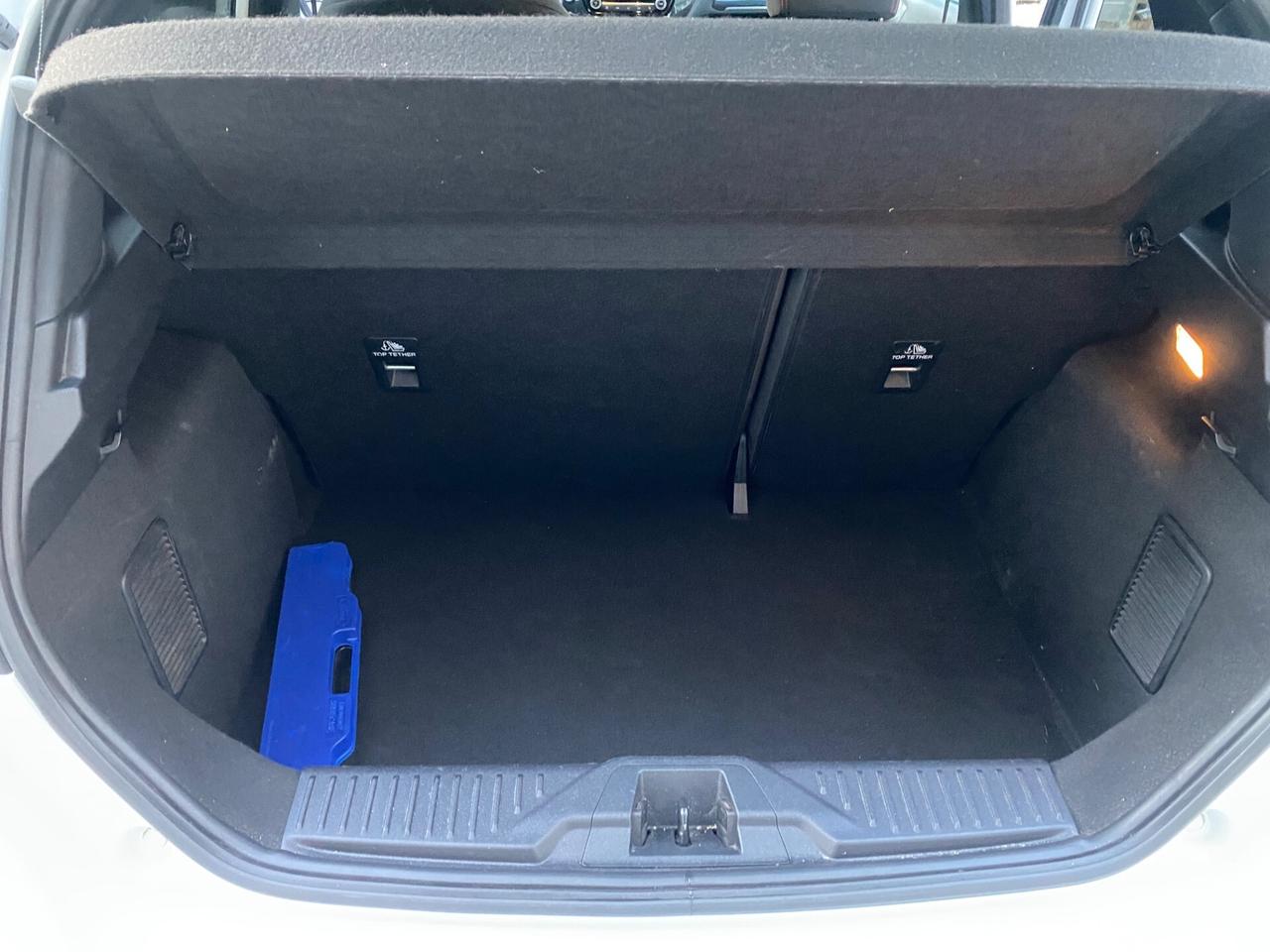 Ford Fiesta 1.5 EcoBlue 5 porte ST-Line