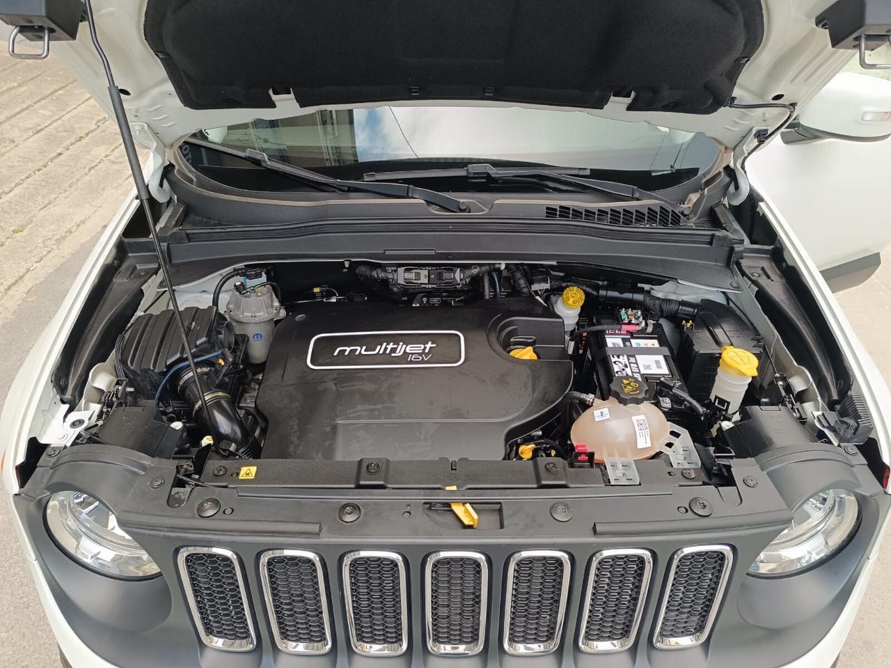 Jeep Renegade 1.6 Mjt 120 CV Longitude