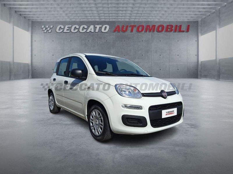 FIAT Panda Panda 1.0 firefly hybrid s&s 70cv