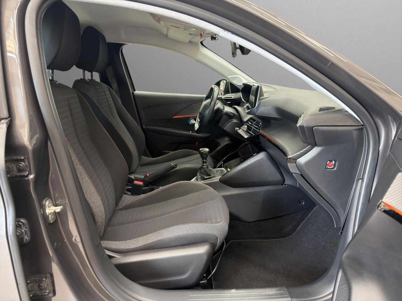 Peugeot 208 BlueHDi 100 Stop&Start 5 porte Active Tetto nero