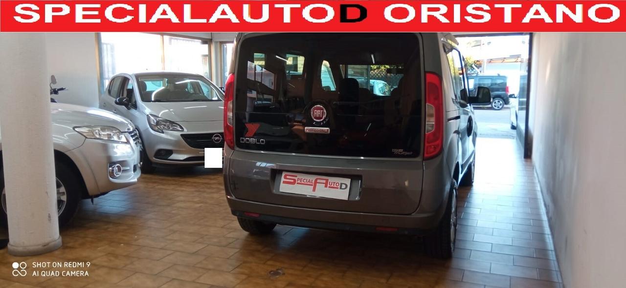 Fiat Doblo 2.0 PROFESSIONAL