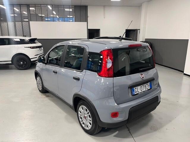 Fiat Panda 1.0 FireFly S&S Hybrid OK NEO PATENTATO 5 POSTI