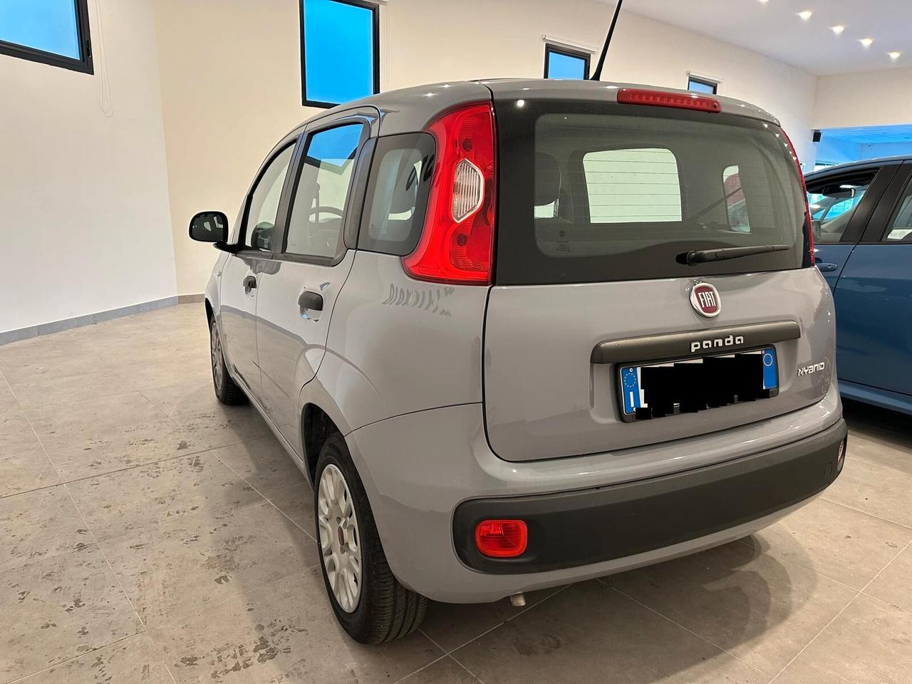 Fiat Panda 1.0 FireFly S&S Hybrid Easy - NO VINCOLO FINANZ