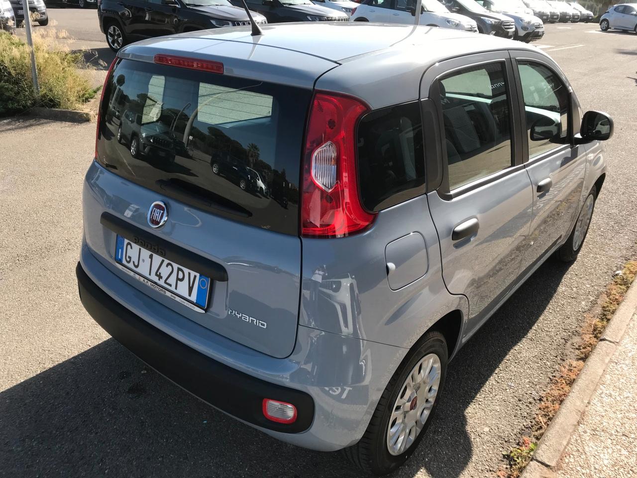 FIAT PANDA 1.0 FireFly S&S Hybrid 70cv - ANNO 03/2022