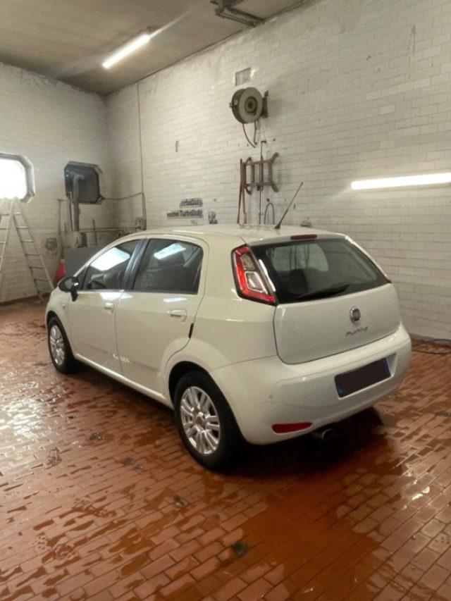 FIAT Punto 1.2 8V 5 porte Lounge