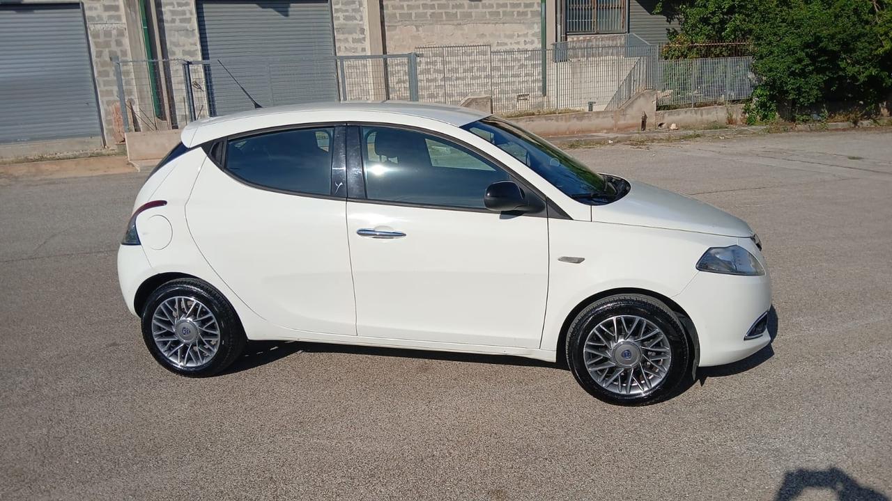Lancia Ypsilon 1.2 69 CV 5 porte Elefantino