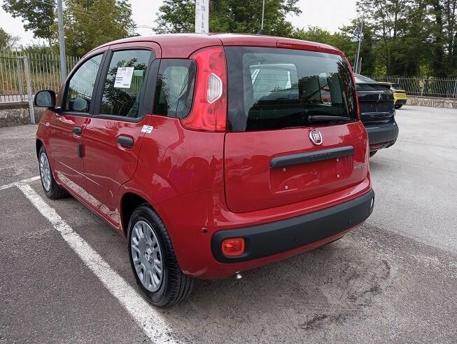 FIAT PANDA 1.0 70cv Hybrid MY25