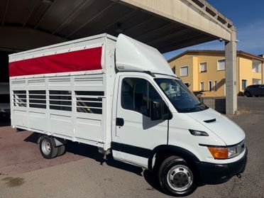 Iveco Daily 35c13 2.8 130cv trasporto animali vivi patente B