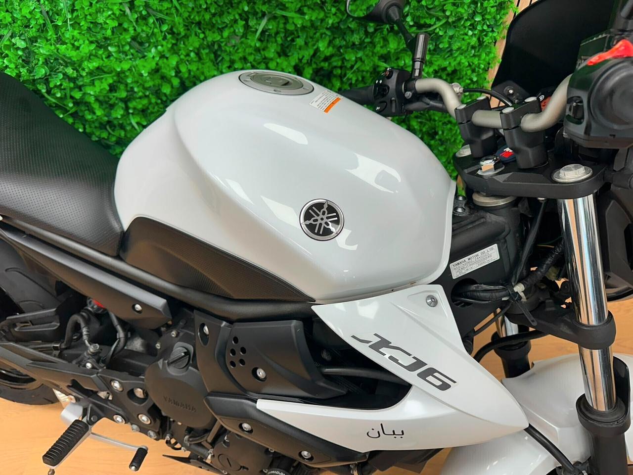 YAMAHA XJ-6 XJ6 XJ 600 / 7.000KM / TUA DA 99€ AL MESE