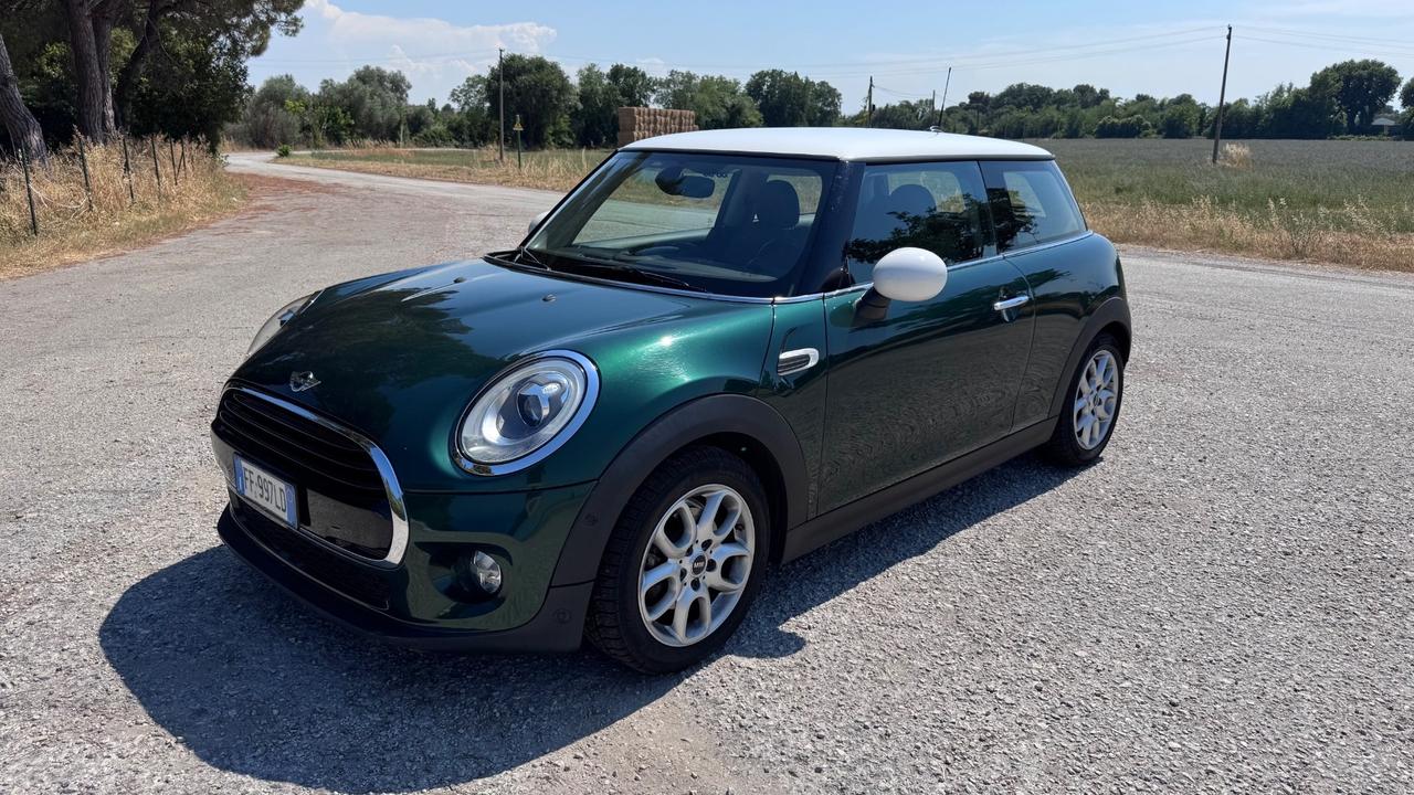 Mini 1.5 One D Hype