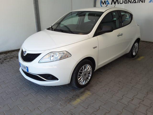 LANCIA Ypsilon 1.2 69cv 5 porte Silver *solo 52.800 Km*