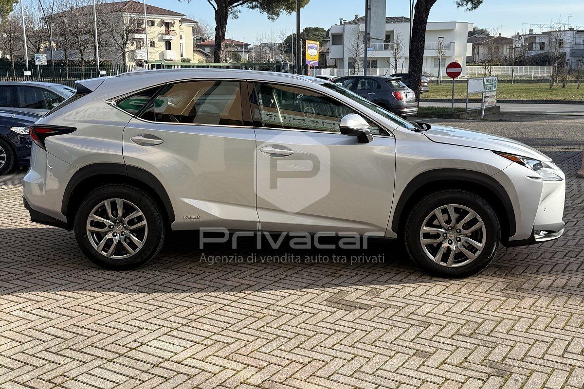 LEXUS NX Hybrid 4WD Executive