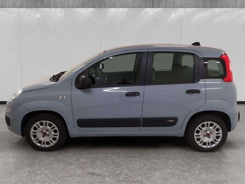 FIAT Panda 1.2 Easy easypower Gpl 69cv my19
