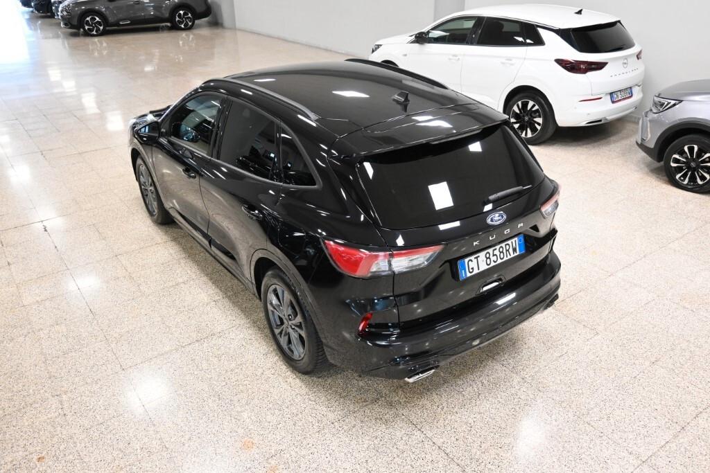 Ford Kuga 2.0 EcoBlue 120 CV aut. AWD ST-Line