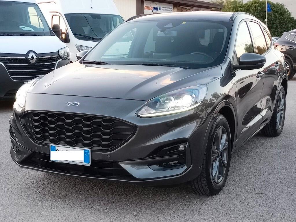 Ford Kuga 1.5 EcoBlue 120 CV aut. 2WD ST-Line X