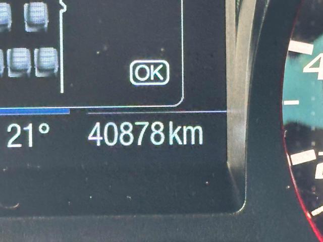 FORD Ranger Raptor 2.0 ECOBLUE aut. 213 CV DC 5 pt.