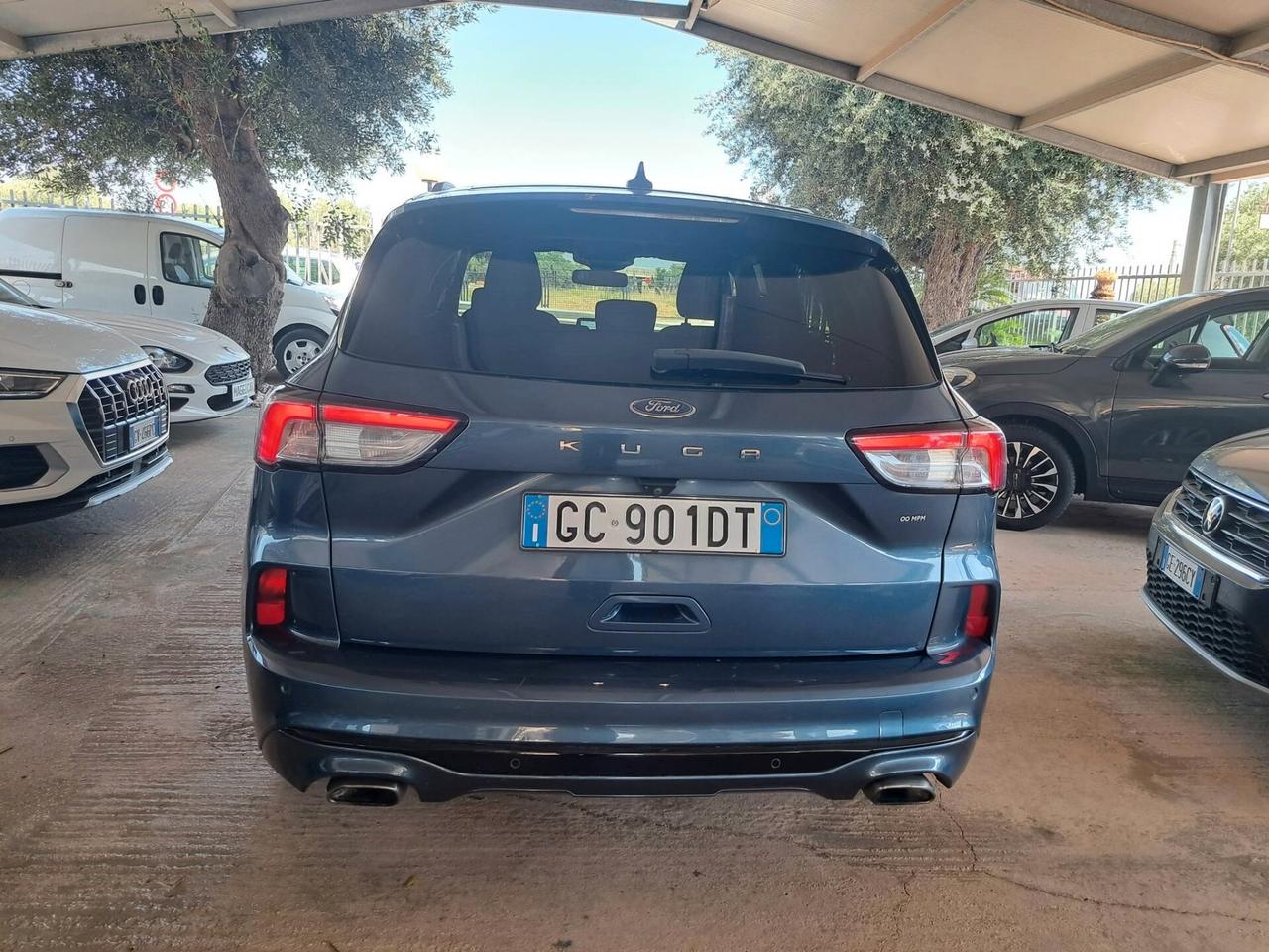 Ford Kuga 1.5 EcoBlue 120 CV aut. 2WD ST-Line