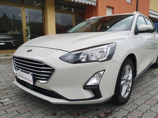 FORD Focus 1.5 EcoBlue 120 CV automatico SW Business Co-Pilot