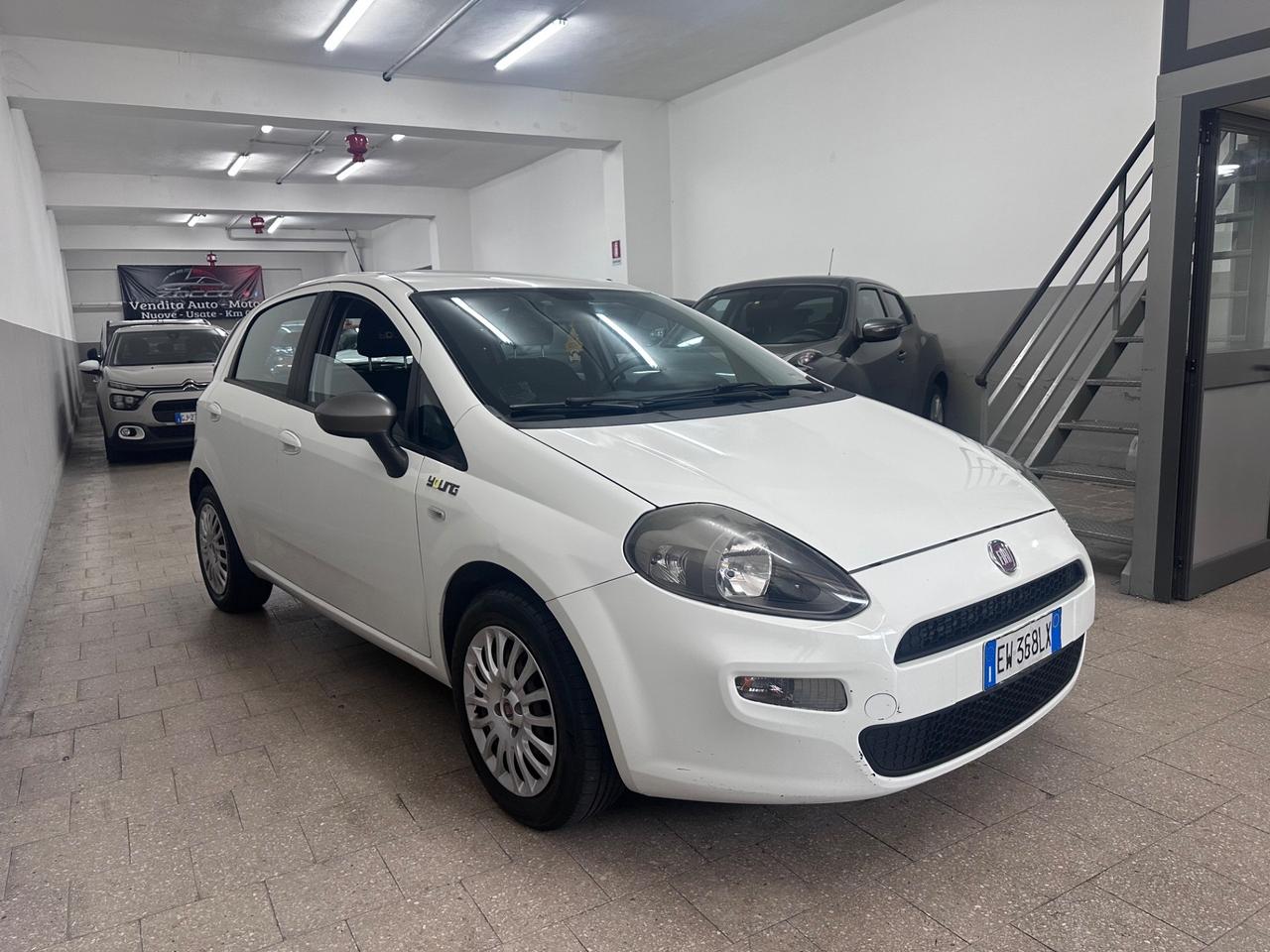 Fiat Punto 1.3 MJT II 75 CV 5 porte Young 2014