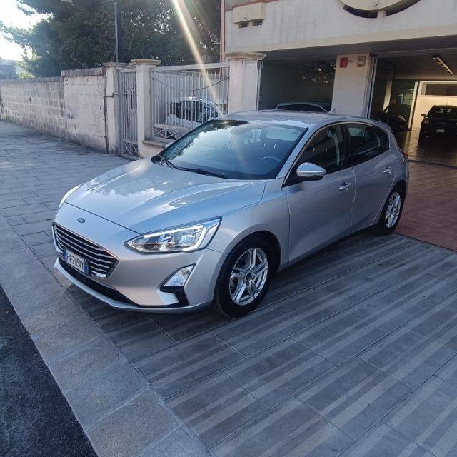 FORD Focus 1.5 EcoBlue 120 CV 5p. Business