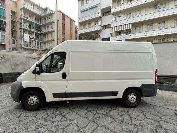 Citroën , Bianco