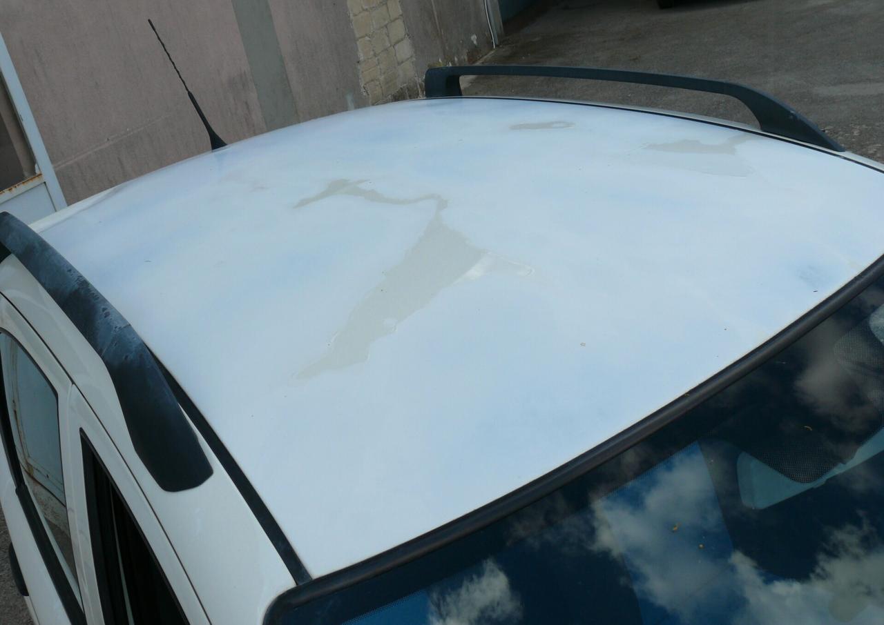 Fiat Panda Natural Power (M1384)