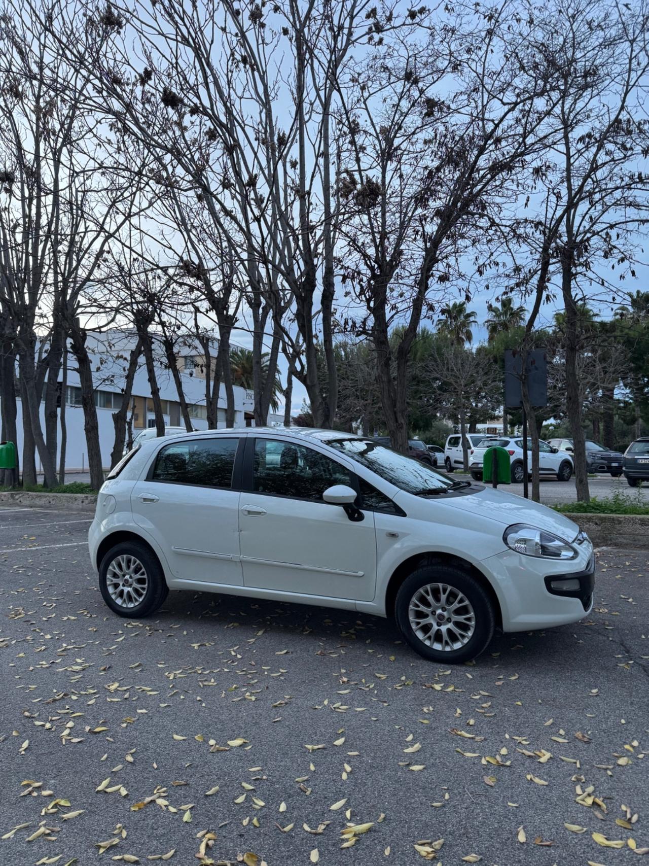 Fiat Punto Evo 1.4 5 porte Emotion Natural Power