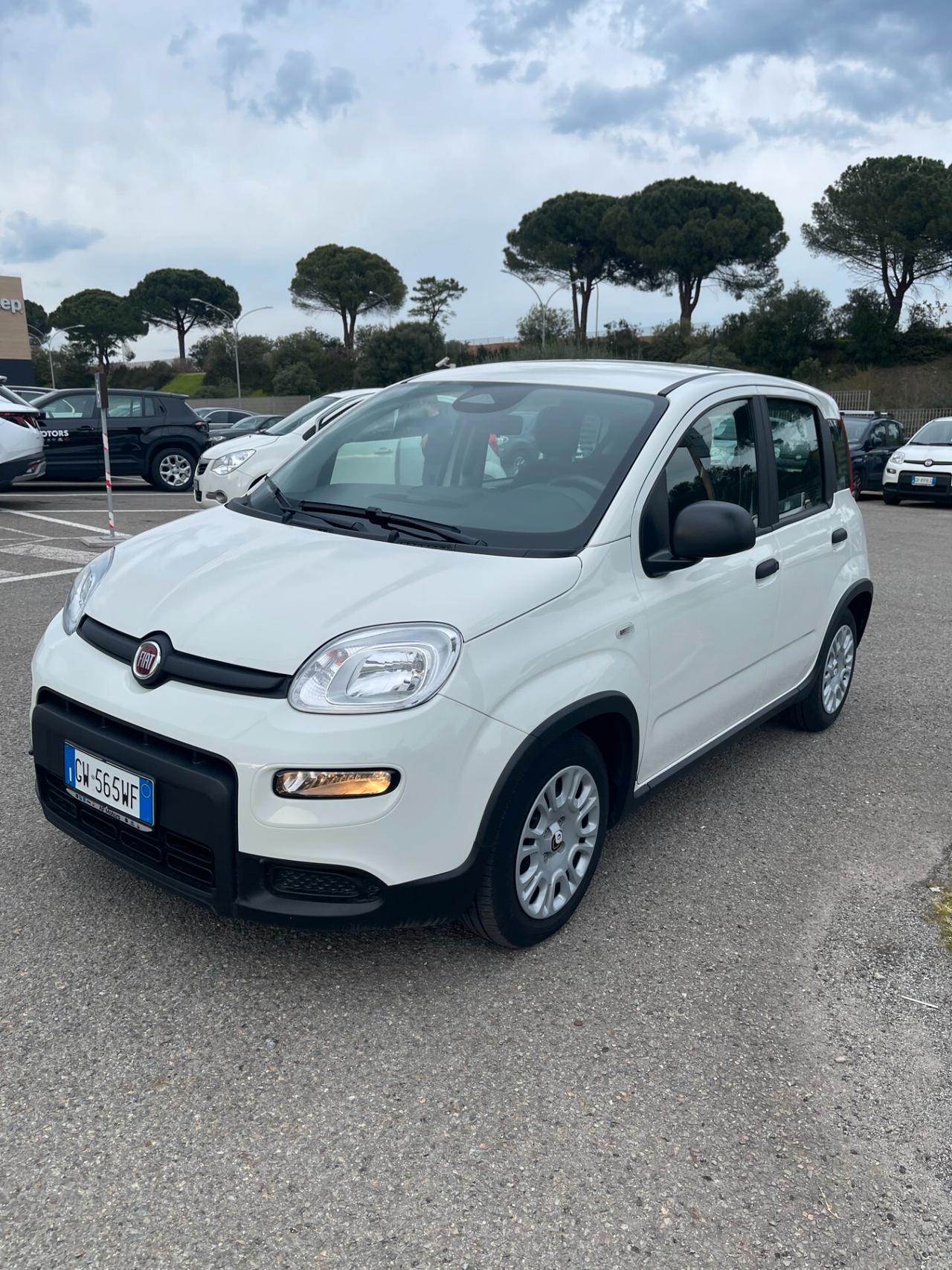 Fiat Panda 1.0 FireFly S&S Hybrid