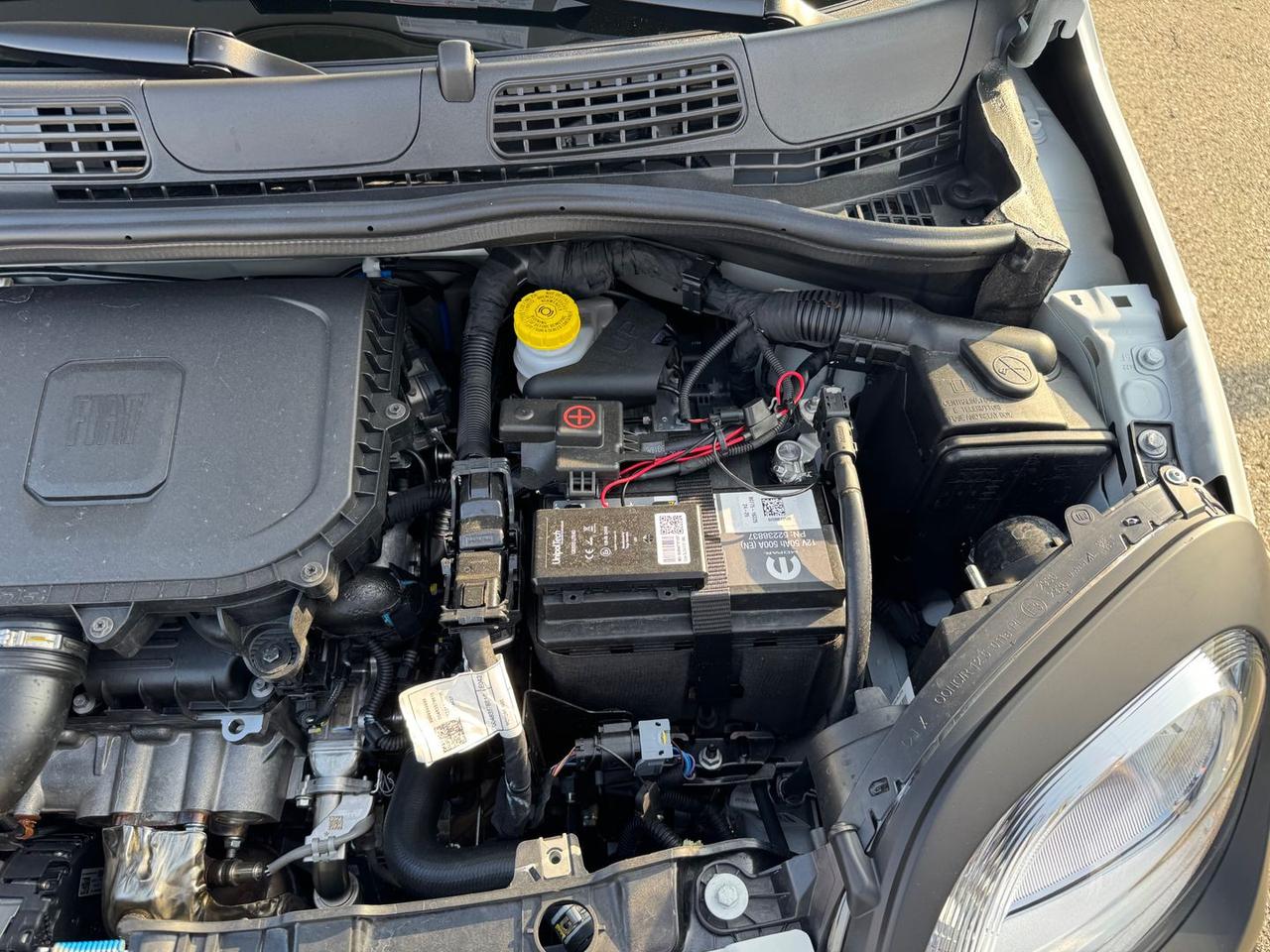 Fiat Panda 1.0 FireFly MHEV Pandina - - PROM #6894