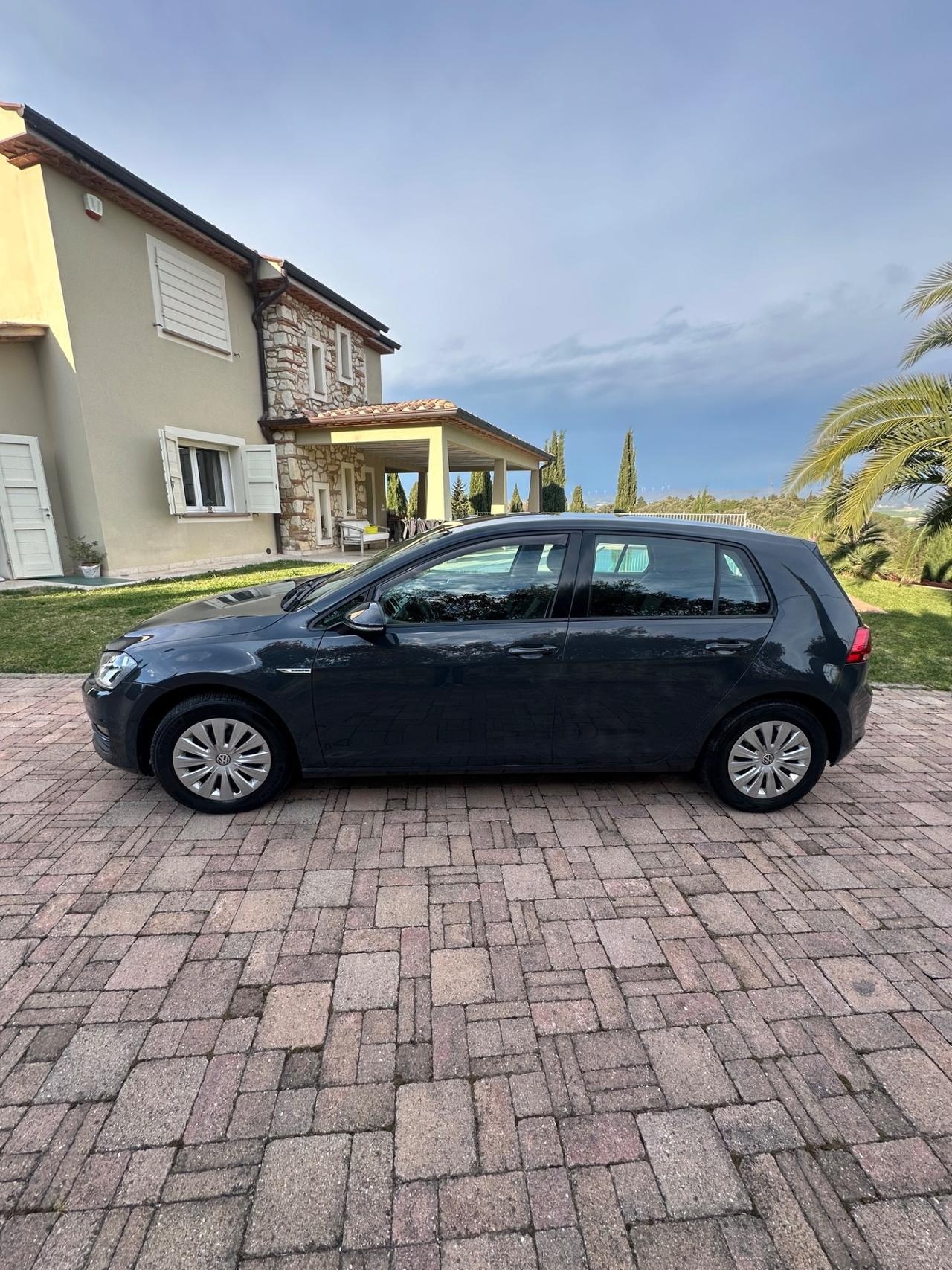 Volkswagen Golf 1.4 TGI DSG 5p. Highline BlueMotion