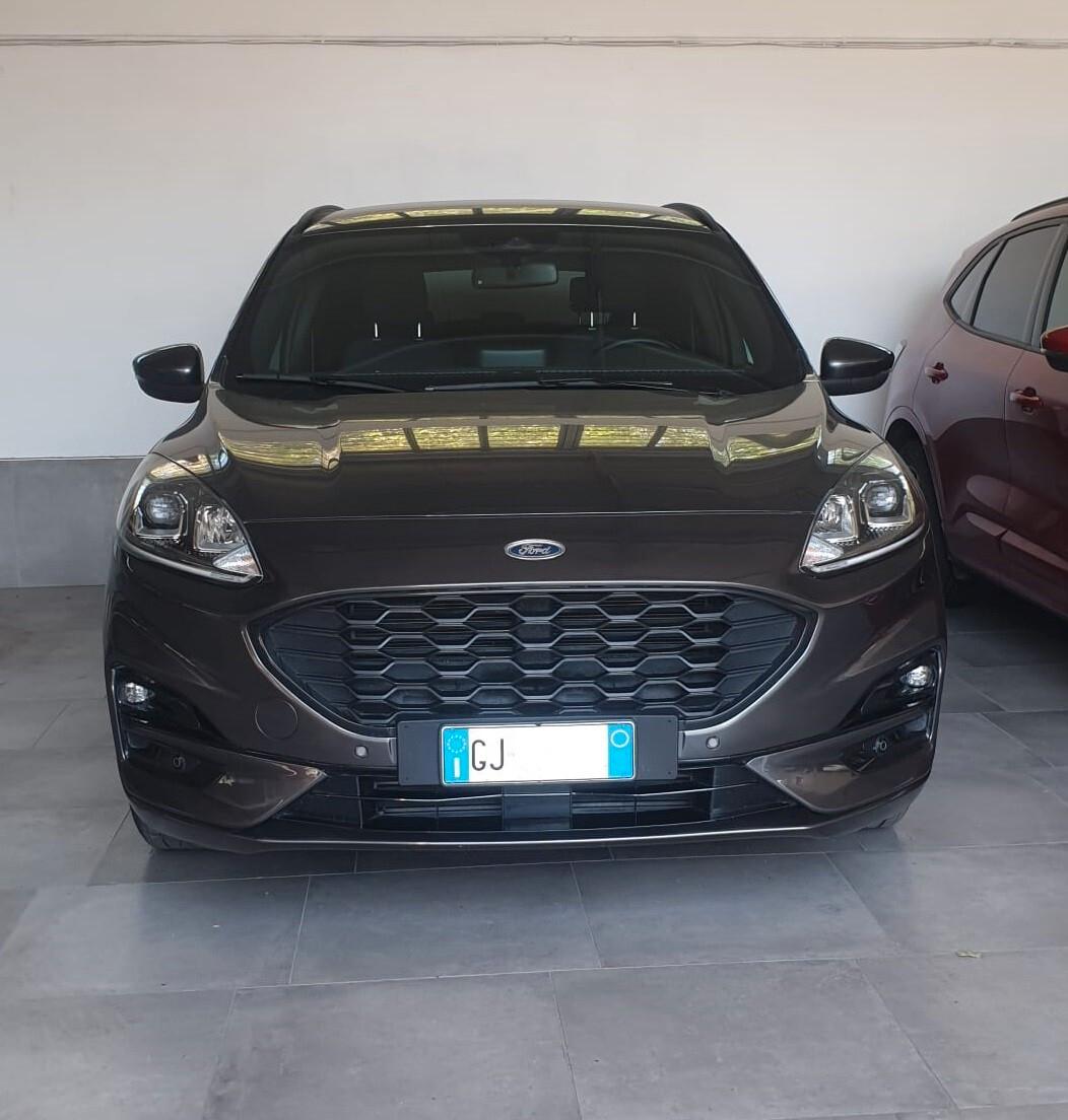 Ford Kuga 1.5 EcoBlue 120 CV 2WD ST-Line