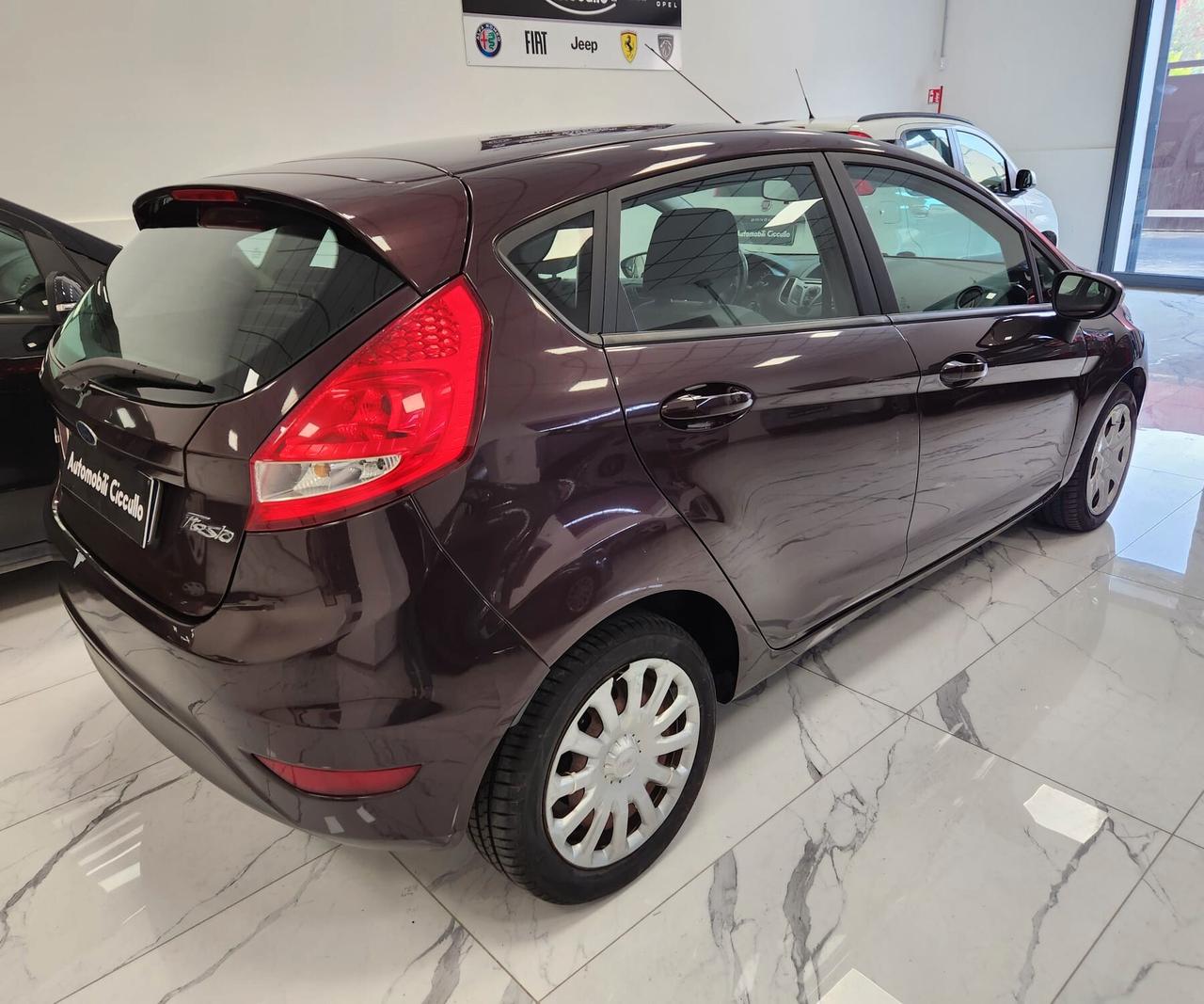 Ford Fiesta 1.4 TDCi 68CV 5 porte Titanium
