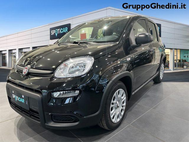 FIAT Panda 1.0 FireFly S&S Hybrid Pandina