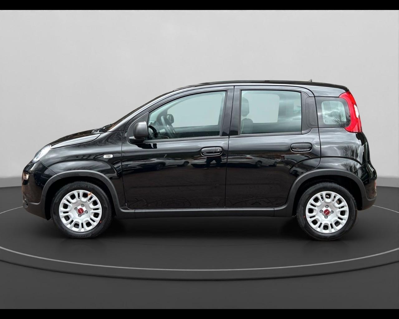 FIAT Panda III 2021 - Panda 1.0 firefly hybrid s&s 70cv