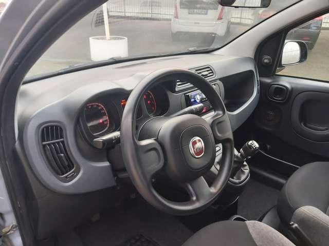 Fiat Panda 1.0 firefly hybrid City Cross s&s 70cv 5p.ti