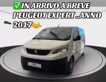 PEUGEOT EXPERT 2.0 HDI 120 PL-TN FURGONE AUTOCARRO