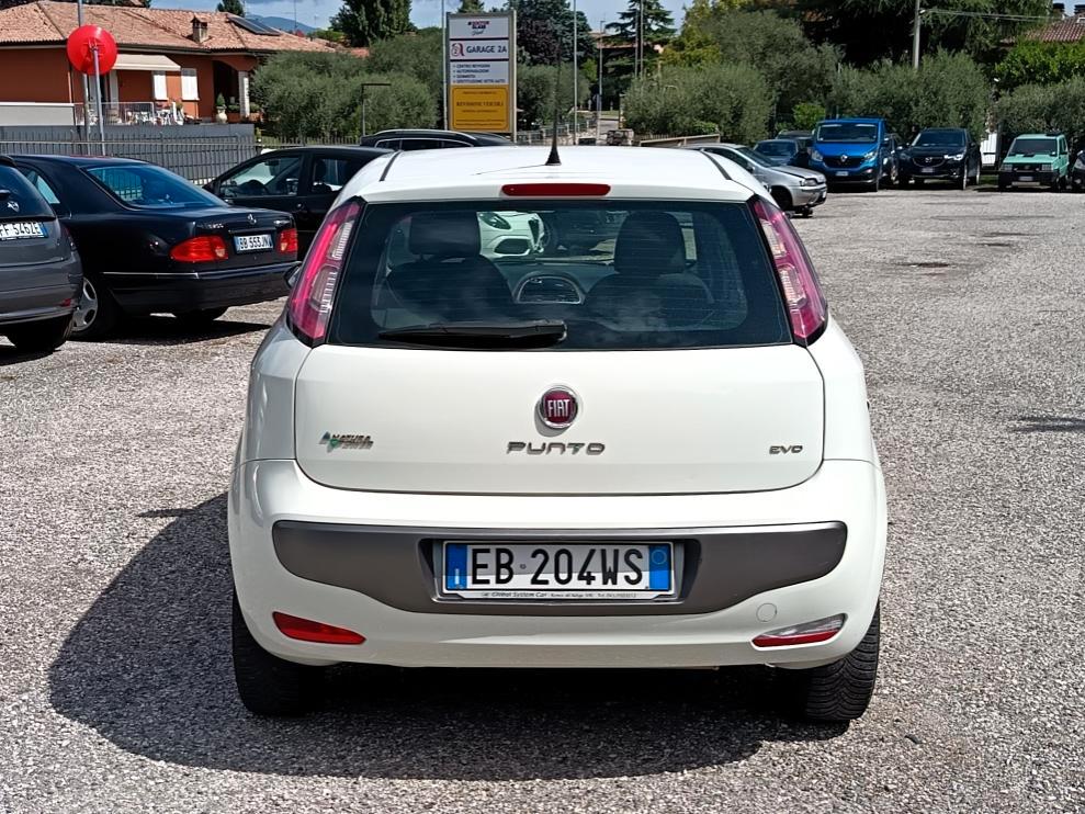 Fiat Punto Evo 1.4 natural power Punto Evo 5p 1.4 natural power Dynamic 70cv