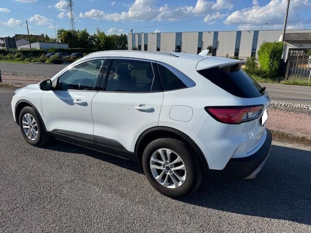 Ford Kuga 2.0 EcoBlue 120 CV aut. 2WD Titanium Business-UNICO PROPRIETARIO