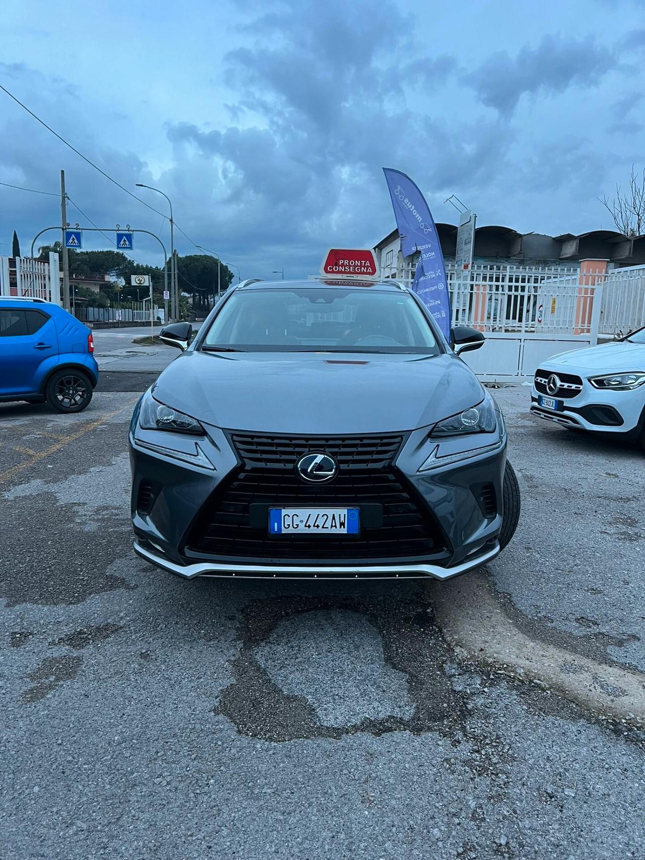 Lexus NX Hybrid 4WD Premium