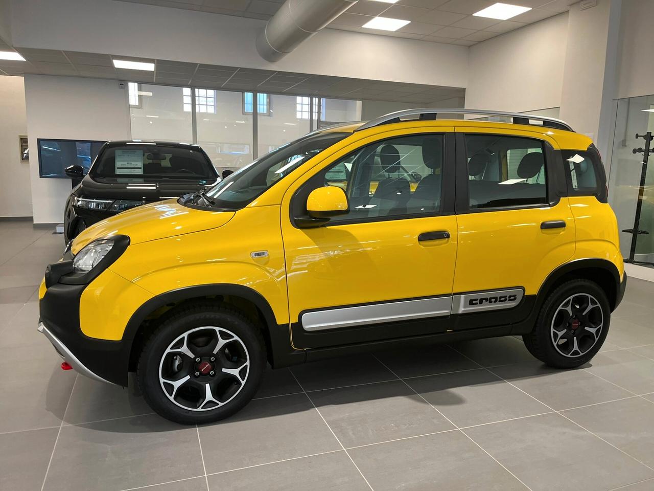 FIAT Panda 3ª serie Panda 1.0 FireFly S&S Hybr...