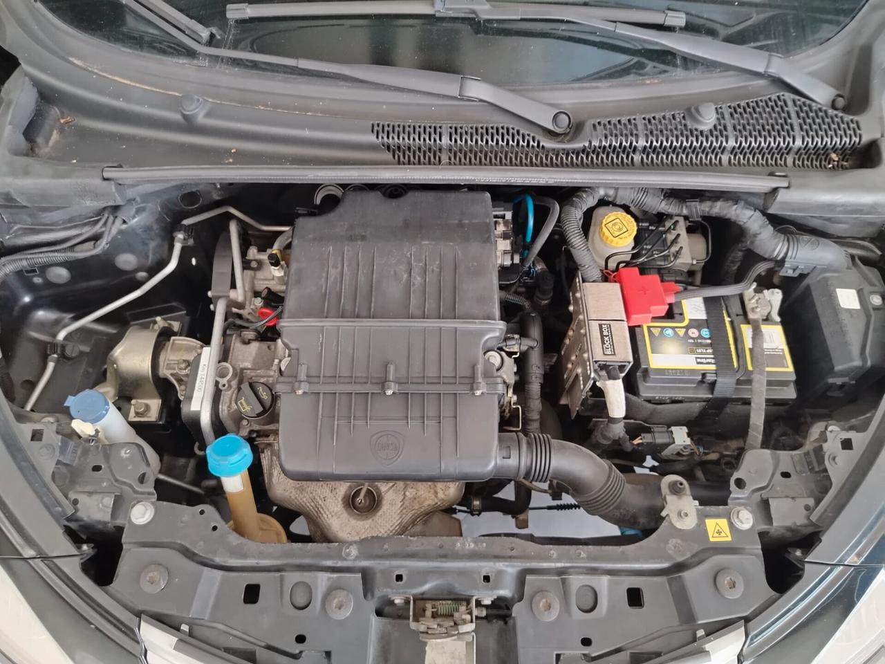 Lancia Ypsilon 1.2 69 CV 5 porte Elefantino