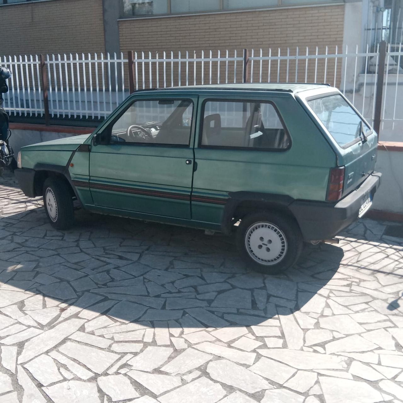 Fiat Panda 1100 i.e. cat Young