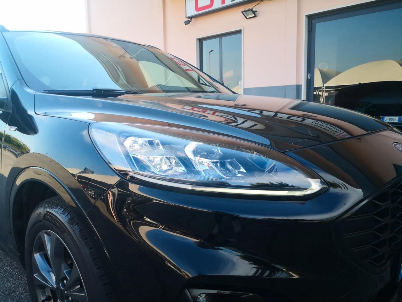 Ford Kuga 2.0 EcoBlue 150 CV aut. AWD ST-Line