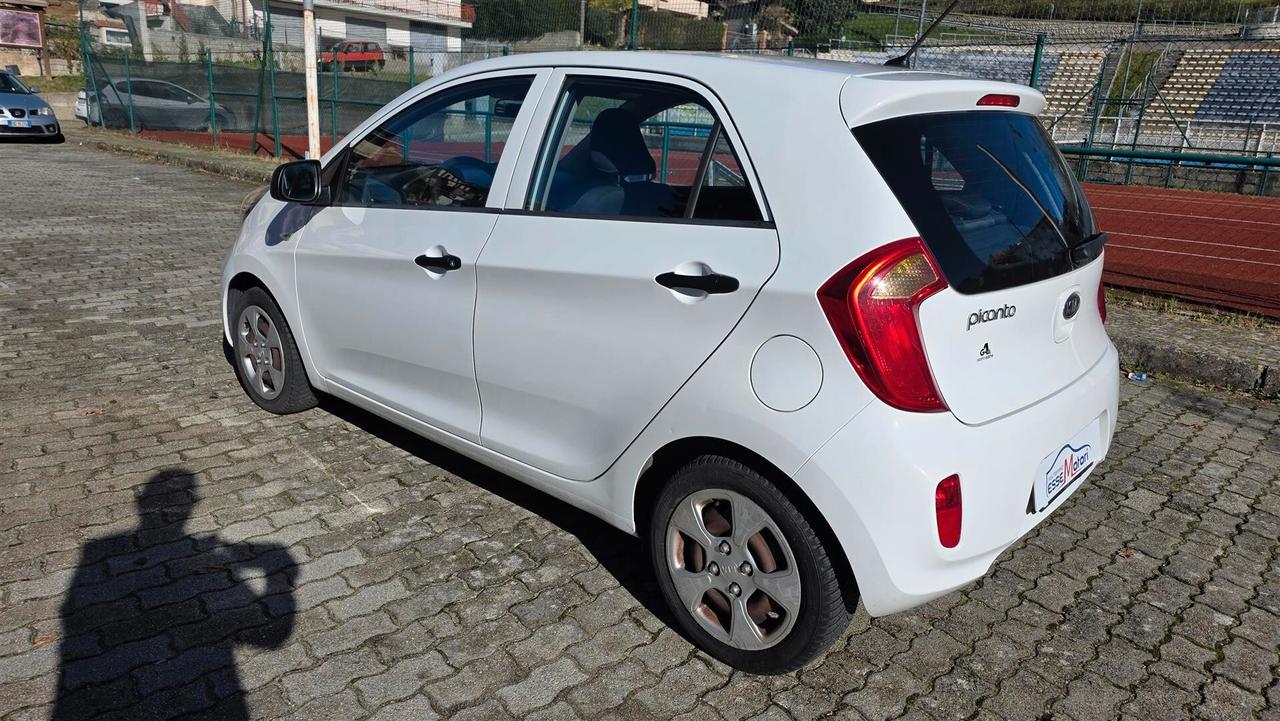 Kia Picanto 1.0 12V 5 porte Style