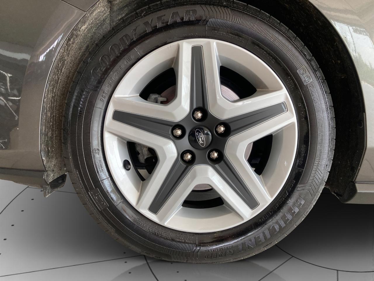 FORD Focus SW 1.5 ecoblue Business 120cv auto