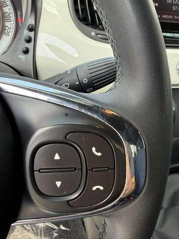 Fiat 500 500 1.0 hybrid Cult 70cv PRONTA CONSEGNA