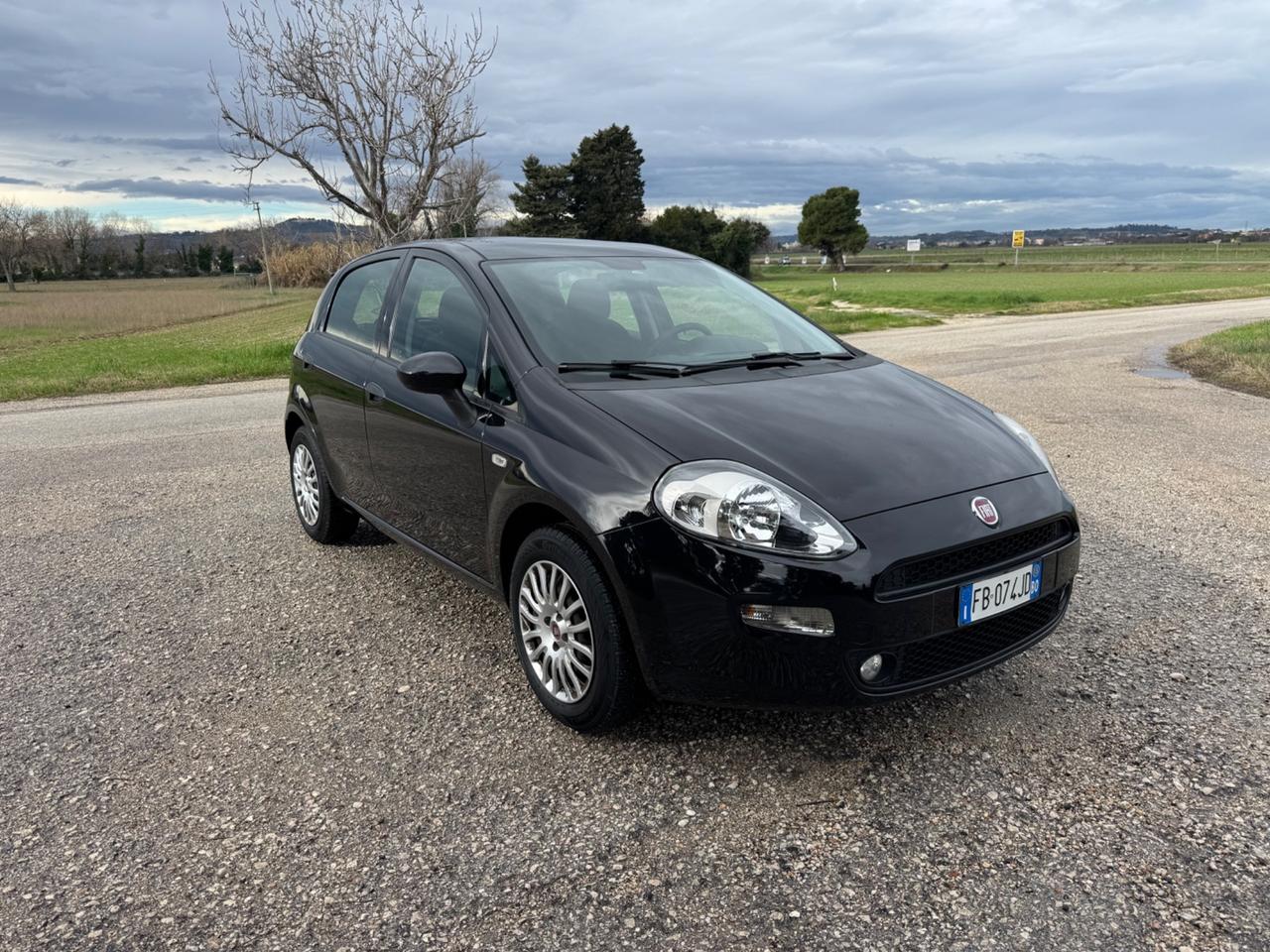 Fiat Punto 1.2 8V 5 porte Street