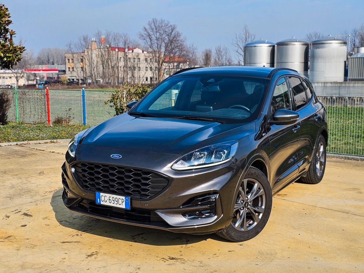 Ford Kuga 1.5 EcoBlue 120 CV 2WD ST-Line